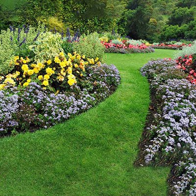 Dream Homes aroma-gardens