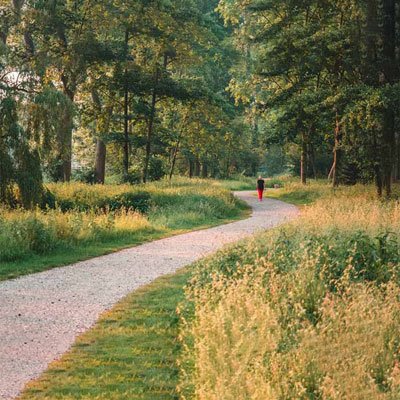 Dream Homes walking-track